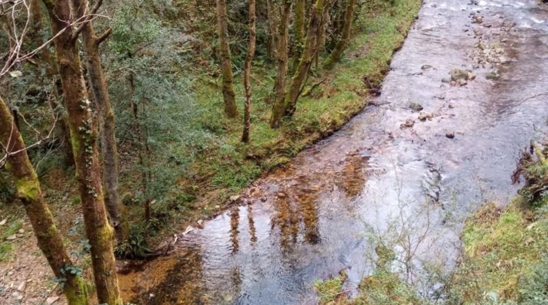 Asturias - Cudillero - 4400m2