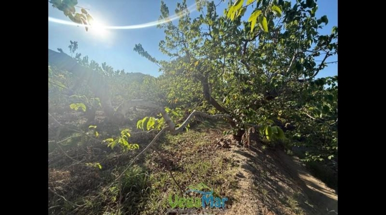 Granada - Almuñécar - 2700m2