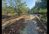 Terreno no urbanizable en venta en la España, Almuñécar, ref: TR264878 foto