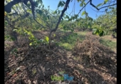 Terreno no urbanizable en venta en la España, Almuñécar, ref: TR264878 foto