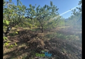 Terreno no urbanizable en venta en la España, Almuñécar, ref: TR264878 foto