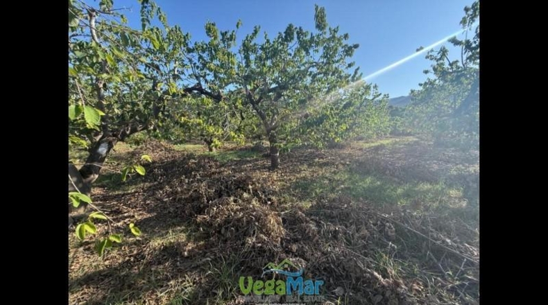 Granada - Almuñécar - 2700m2