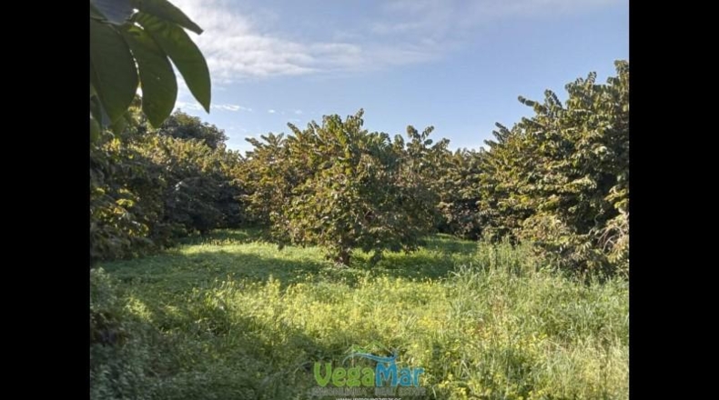 Granada - Almuñécar - 2700m2