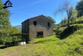 Selaya 18982&nbsp;m²