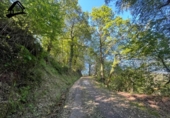 Chalet independiente con terreno en venta en la España, Selaya, ref: TR410209 foto