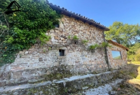 Selaya 18982&nbsp;m²