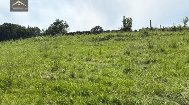 Cantabria - Ruente - 7227m2