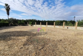 Badajoz 980&nbsp;m²