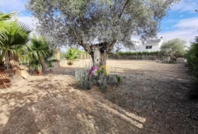Badajoz 980&nbsp;m²