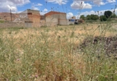 Casa con terreno en venta en la España, Fuentealbilla, ref: TR300998 foto
