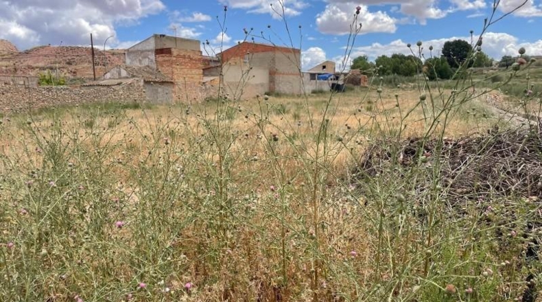 Albacete - Fuentealbilla - 4724m2
