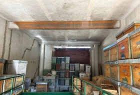 Foto 15