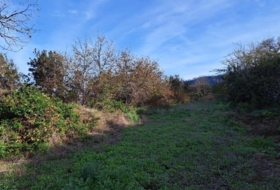 Foto 15