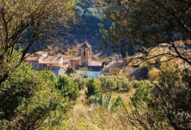 Foto 8