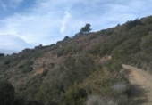 Terreno no urbanizable en venta en la España, Riudecols, ref: TR124812 foto