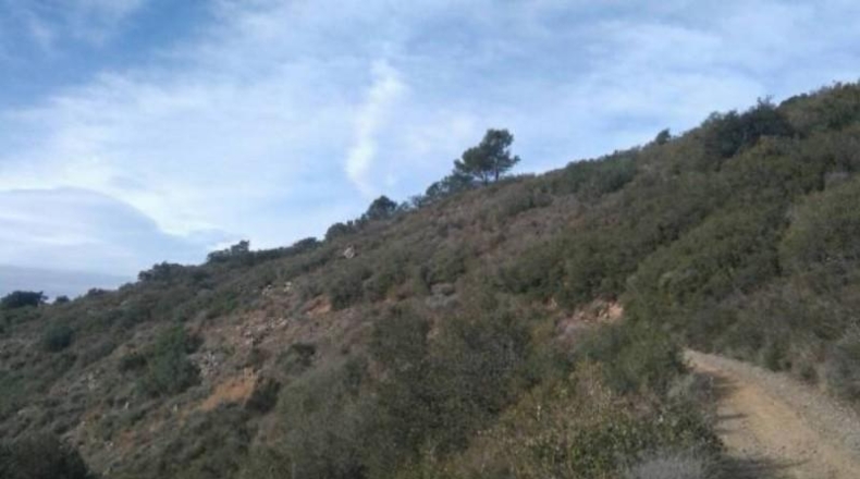 Tarragona - Riudecols - 105000m2
