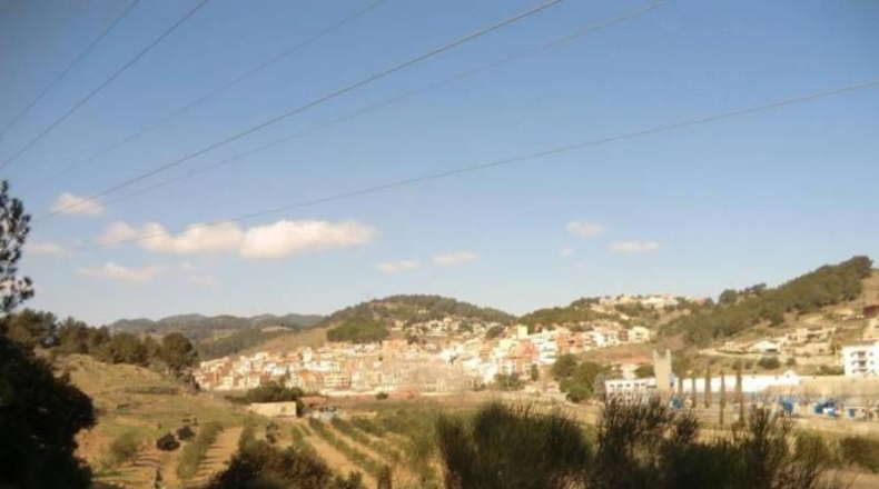 Tarragona - Riudecols - 105000m2