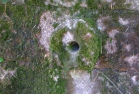 Foto 14