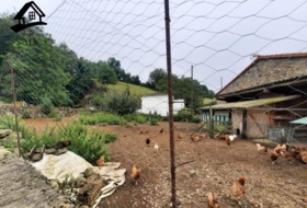 Foto 12