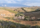Terreno no urbanizable en venta en la España, Albuñuelas, ref: TR241935 foto