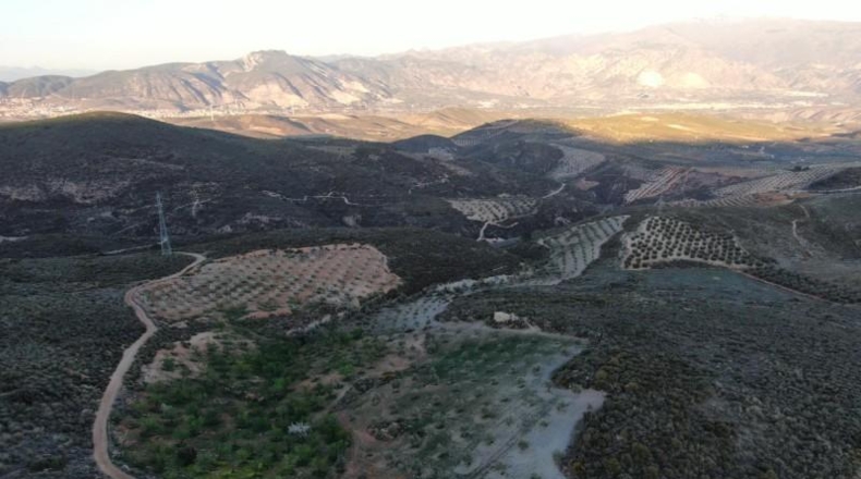 Granada - Albuñuelas - 42145m2
