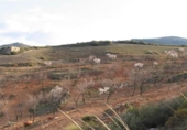 Terreno no urbanizable en venta en la España, Albuñuelas, ref: TR241935 foto