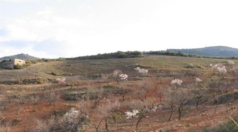 Granada - Albuñuelas - 42145m2