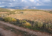 Terreno no urbanizable en venta en la España, Albuñuelas, ref: TR241935 foto