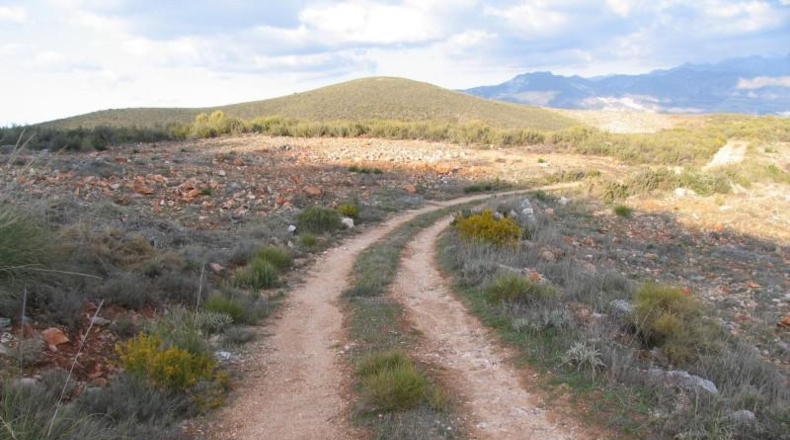 Granada - Albuñuelas - 42145m2