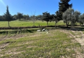 Terreno no urbanizable en venta en la España, Lucena, ref: TR388337 foto