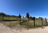 Terreno no urbanizable en venta en la España, Lucena, ref: TR388337 foto