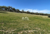Terreno no urbanizable en venta en la España, Lucena, ref: TR388337 foto