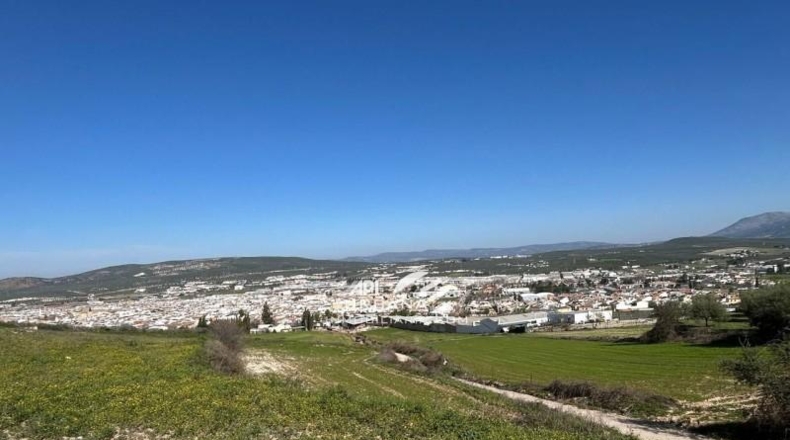 Córdoba - Lucena - 7000m2