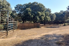 Aceituna 150000&nbsp;m²