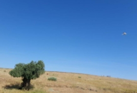Garrovillas de Alconétar 150000&nbsp;m²
