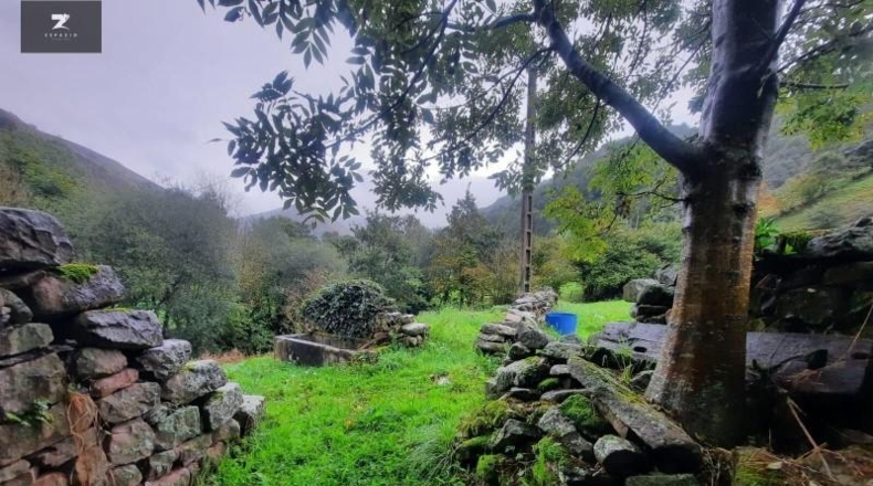 Cantabria - Vega de Pas - 10033m2