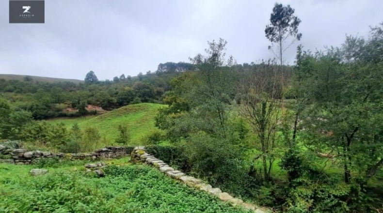 Cantabria - Vega de Pas - 10033m2