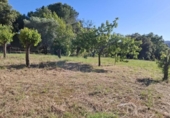 Sòl urbà en venda a la España, Caldes de Montbui, ref.: TR412719 foto