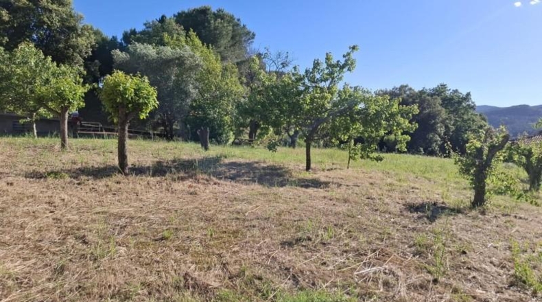Barcelona - Caldes de Montbui - 1041m2