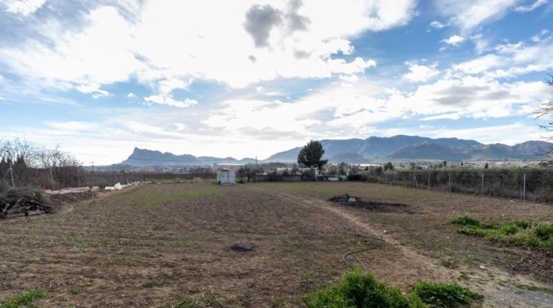 Murcia - Cieza - 5023m2