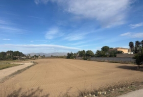 Catral 11052&nbsp;m²