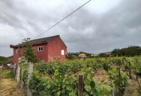 Leiro 768&nbsp;m² 