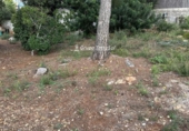 Parcela urbanizable en venta en la España, Calafell, ref: TR380819 foto