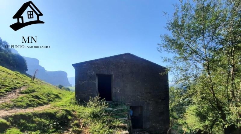 Cantabria - Miera - 26000m2