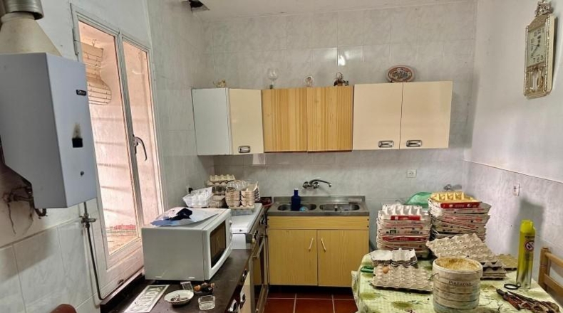 Córdoba - Fuente Obejuna - 5000m2