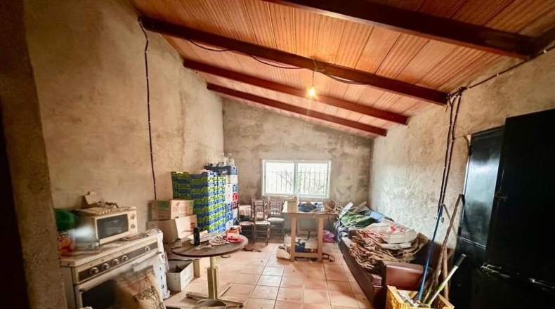 Córdoba - Fuente Obejuna - 5000m2