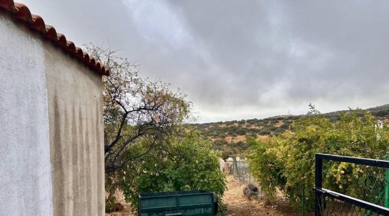 Córdoba - Fuente Obejuna - 5000m2