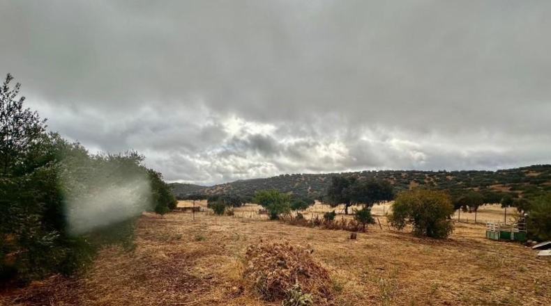 Córdoba - Fuente Obejuna - 5000m2