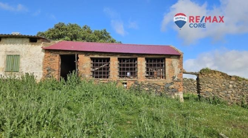 Badajoz - Siruela - 206000m2