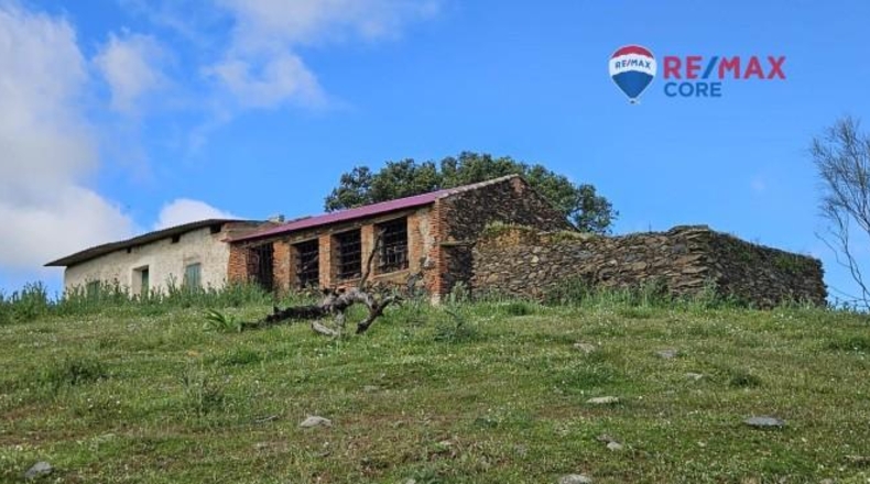 Badajoz - Siruela - 206000m2